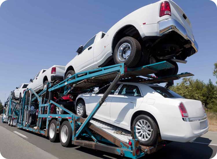 Vehicle Transport Services